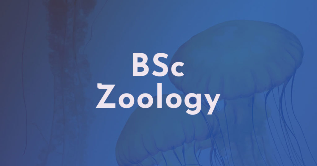 Calicut University BSC ZOOLOGY Course details